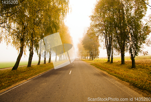 Image of Road to a fog (autumn)