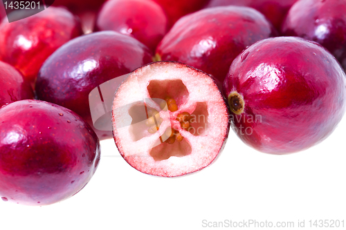 Image of Cranberry (isolated)