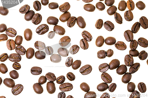 Image of Coffee grains