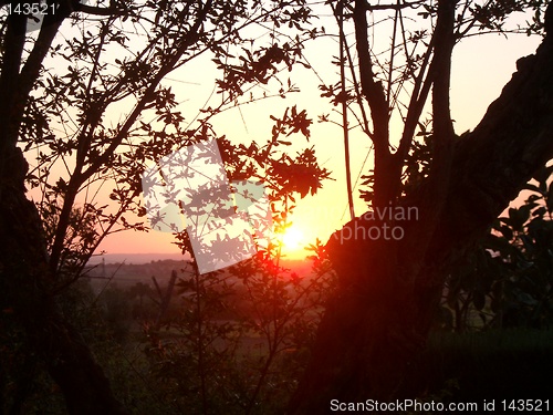 Image of Sunset Mallorca