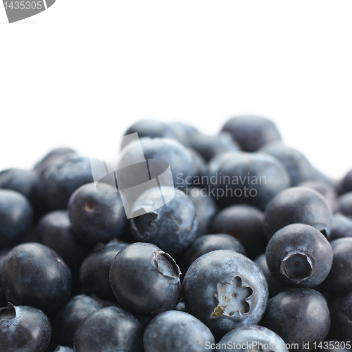 Image of blueberry