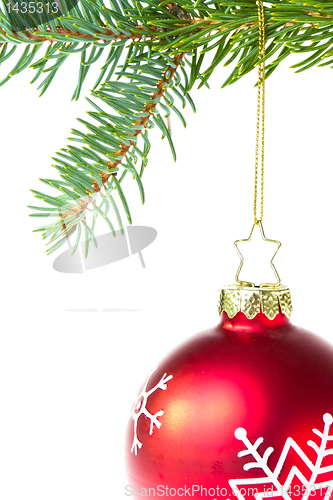 Image of red christmas ball on branch