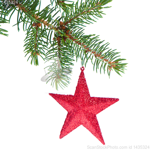 Image of red christmas star hanging from tree