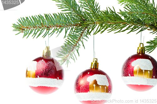 Image of red christmas ball on branch