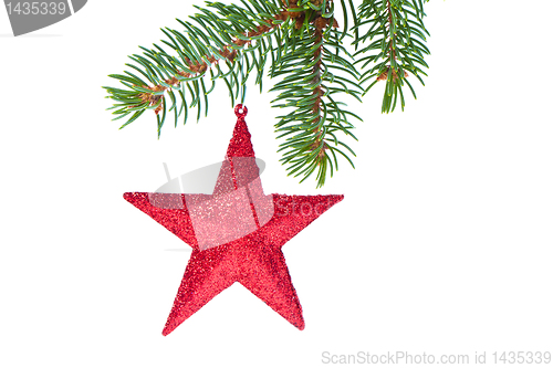 Image of red christmas star hanging from tree
