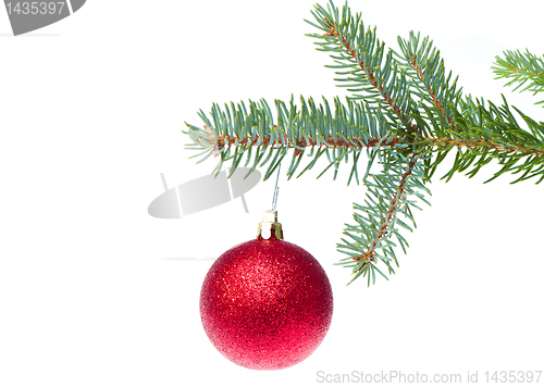 Image of red christmas ball hanging from tree