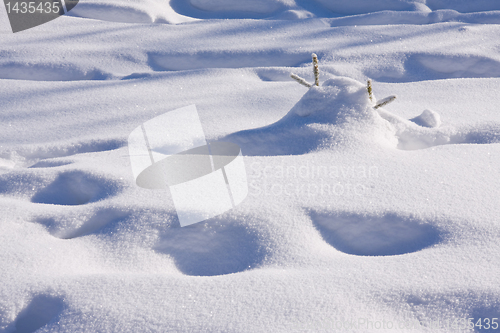 Image of fresh snow in the mountains