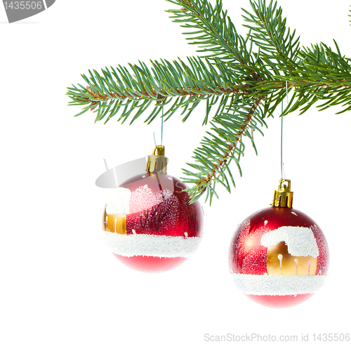 Image of red christmas ball on branch