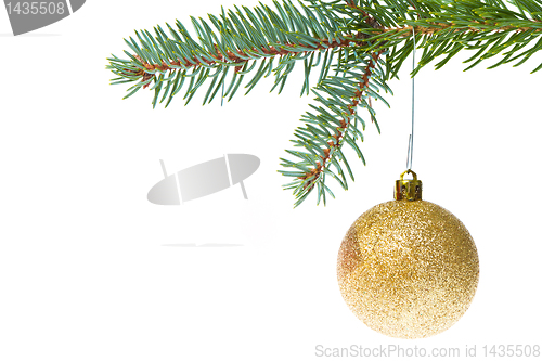 Image of red christmas ball hanging from tree