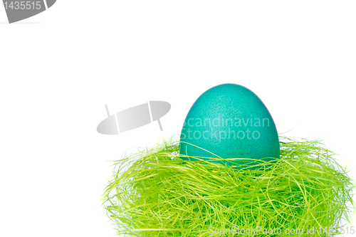 Image of easter egg in nest