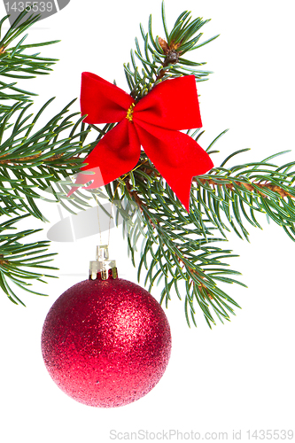 Image of christmas ball on branch