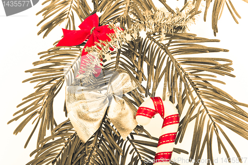 Image of Christmas branch 