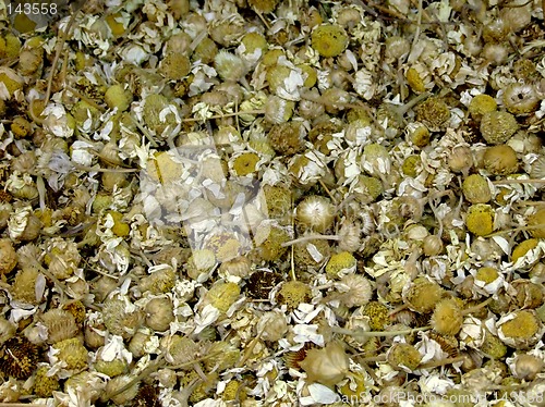 Image of Camomile tea