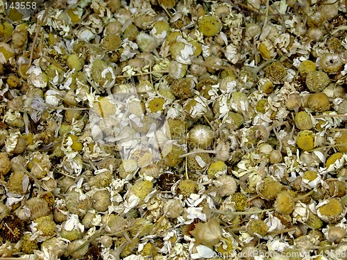 Image of Camomile tea