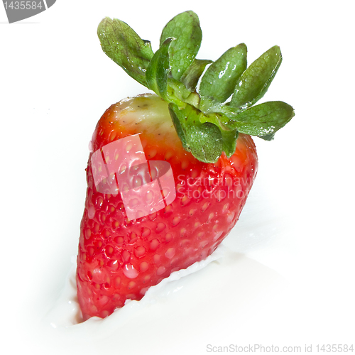 Image of strawberry splashing into milk