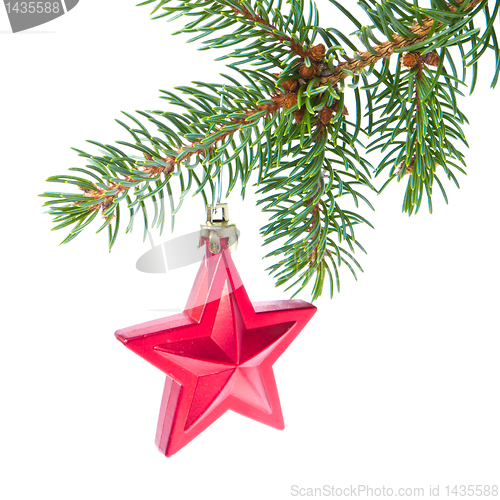 Image of red christmas star hanging from tree