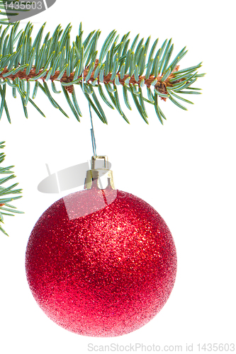 Image of red christmas ball hanging from tree