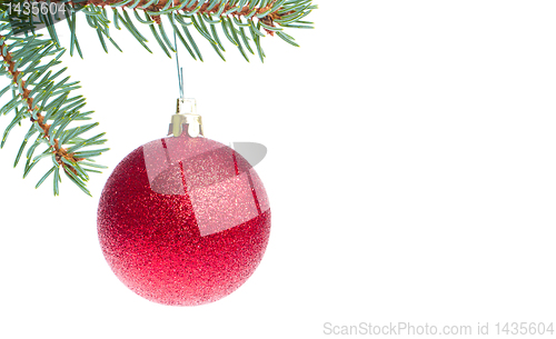 Image of red christmas ball hanging from tree