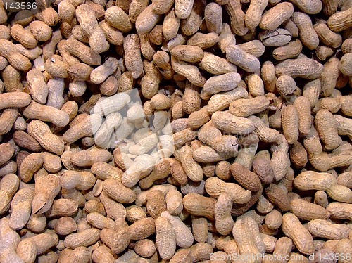 Image of Peanuts