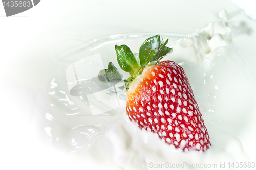 Image of strawberry splashing into milk