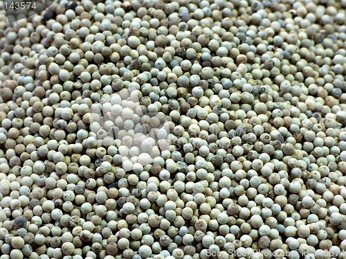 Image of White pepper