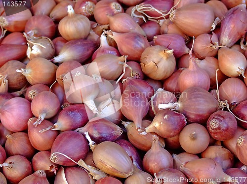 Image of Baby onion
