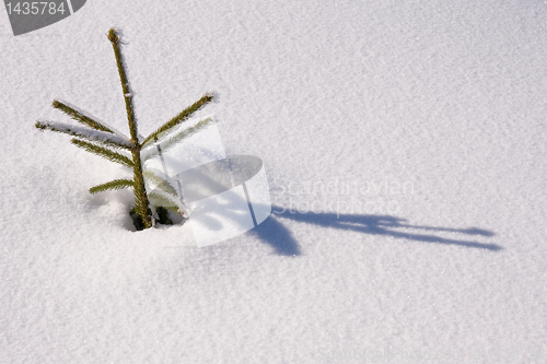 Image of fresh snow in the mountains