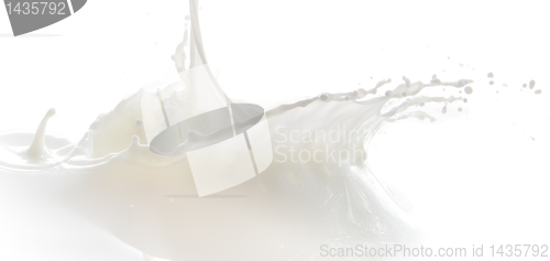 Image of milk splash