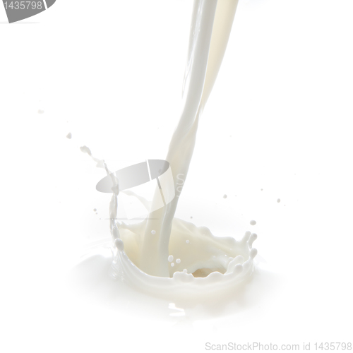 Image of milk splash