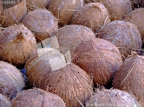 Image of Big coconuts