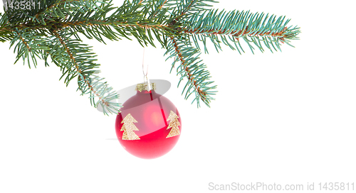 Image of red christmas ball on branch