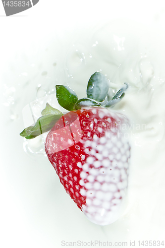 Image of strawberry splashing into milk