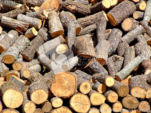 Image of Firewood