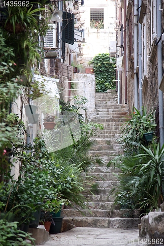 Image of Street in Dubrovnik