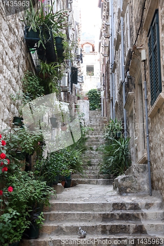 Image of Street in Dubrovnik