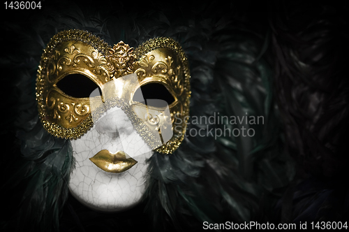 Image of Venetian carnival mask