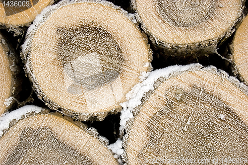 Image of Pile of frozen logs