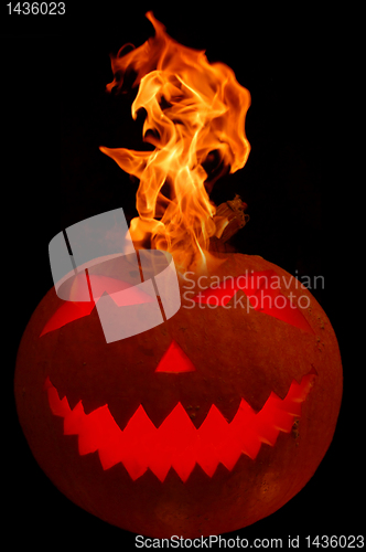 Image of Halloween pumpkin