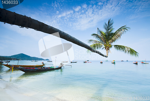 Image of palm and boats on tropical beach