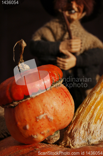 Image of Autumn pumpkin composition