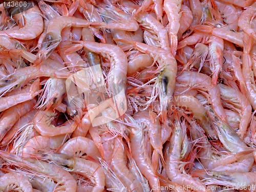Image of Pile of shrimps
