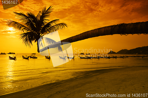 Image of Sunset with palm and boats on tropical beach