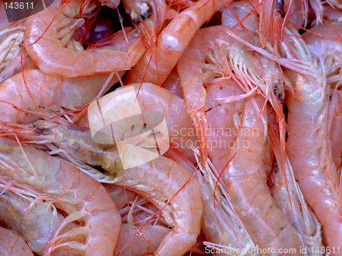 Image of Shrimps detail