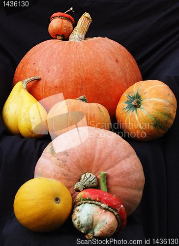 Image of Autumn pumpkin composition