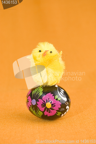 Image of Chicken on easter egg