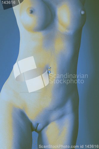 Image of Digital Nude