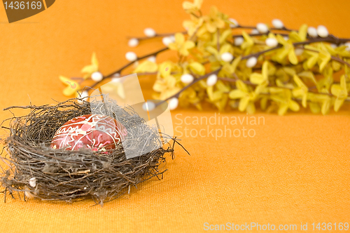Image of Nest with easter egg