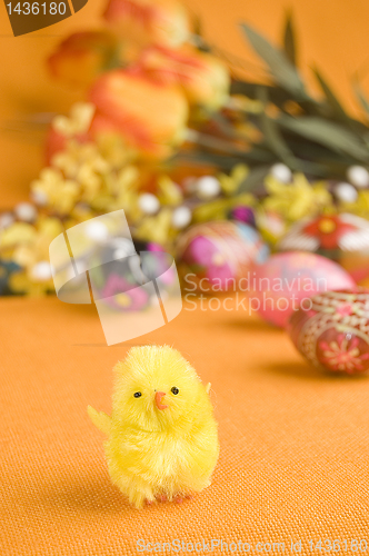 Image of Chicken and easter eggs