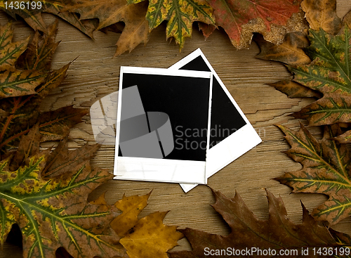 Image of Polaroid frames over autumn background