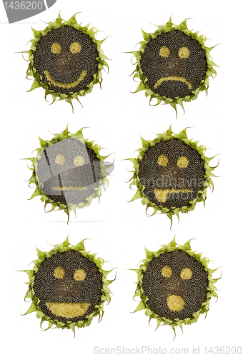 Image of sunflower emoticons